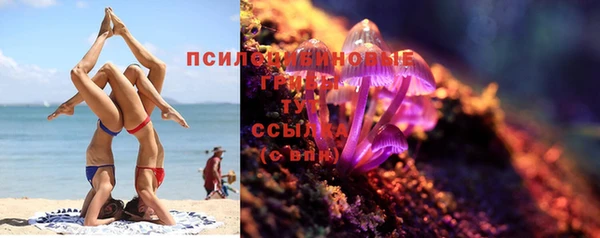 мяу мяу мука Семилуки