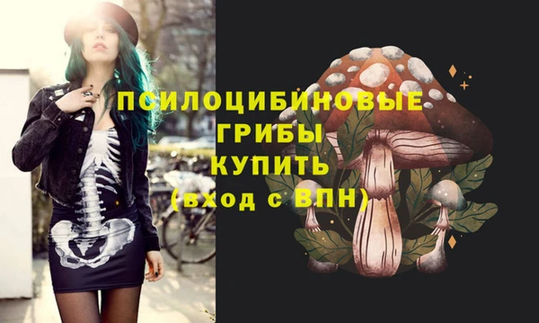 мяу мяу мука Семилуки