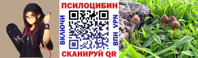 Псилоцибиновые грибы ЛСД  Купить где  Когалым 
